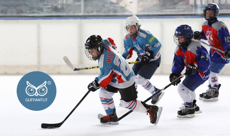 Mini hockey