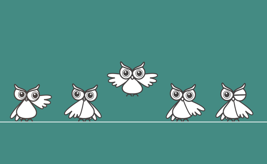 BOBO, LA GUIDA SICURA PER LA SCELTA DELLA TUA CASA<br />