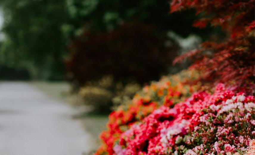 I COLORI PER PITTURARE CASA<br />