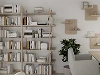 Video 1